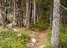 Spiritual discernment